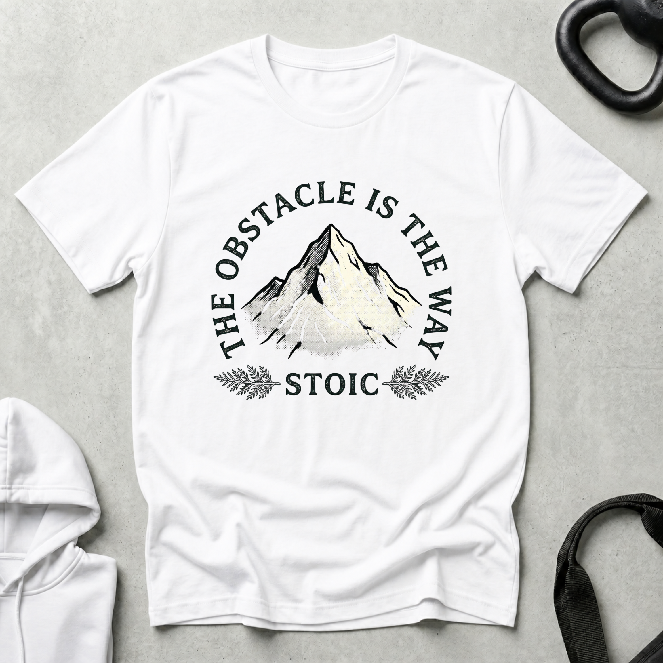 The Obstacle is the Way